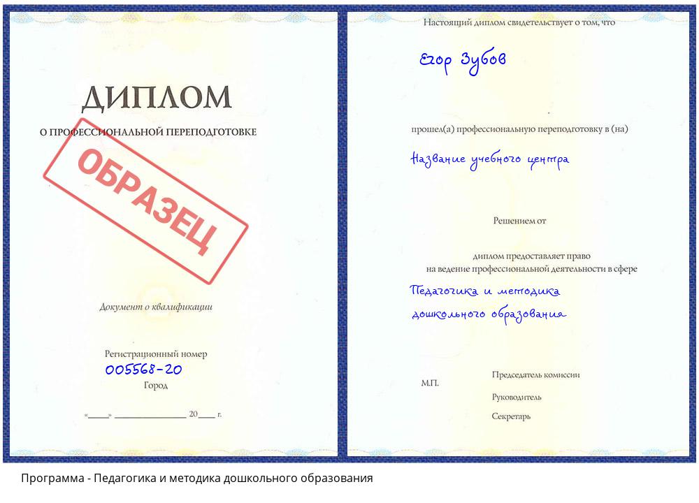 Педагогика и методика дошкольного образования Орехово-Зуево