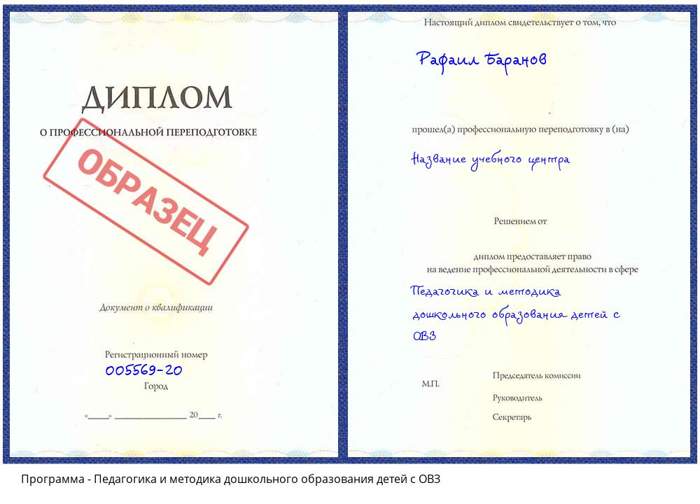 Педагогика и методика дошкольного образования детей с ОВЗ Орехово-Зуево