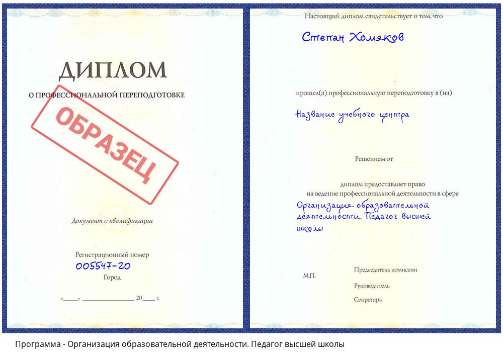 Организация образовательной деятельности. Педагог высшей школы Орехово-Зуево