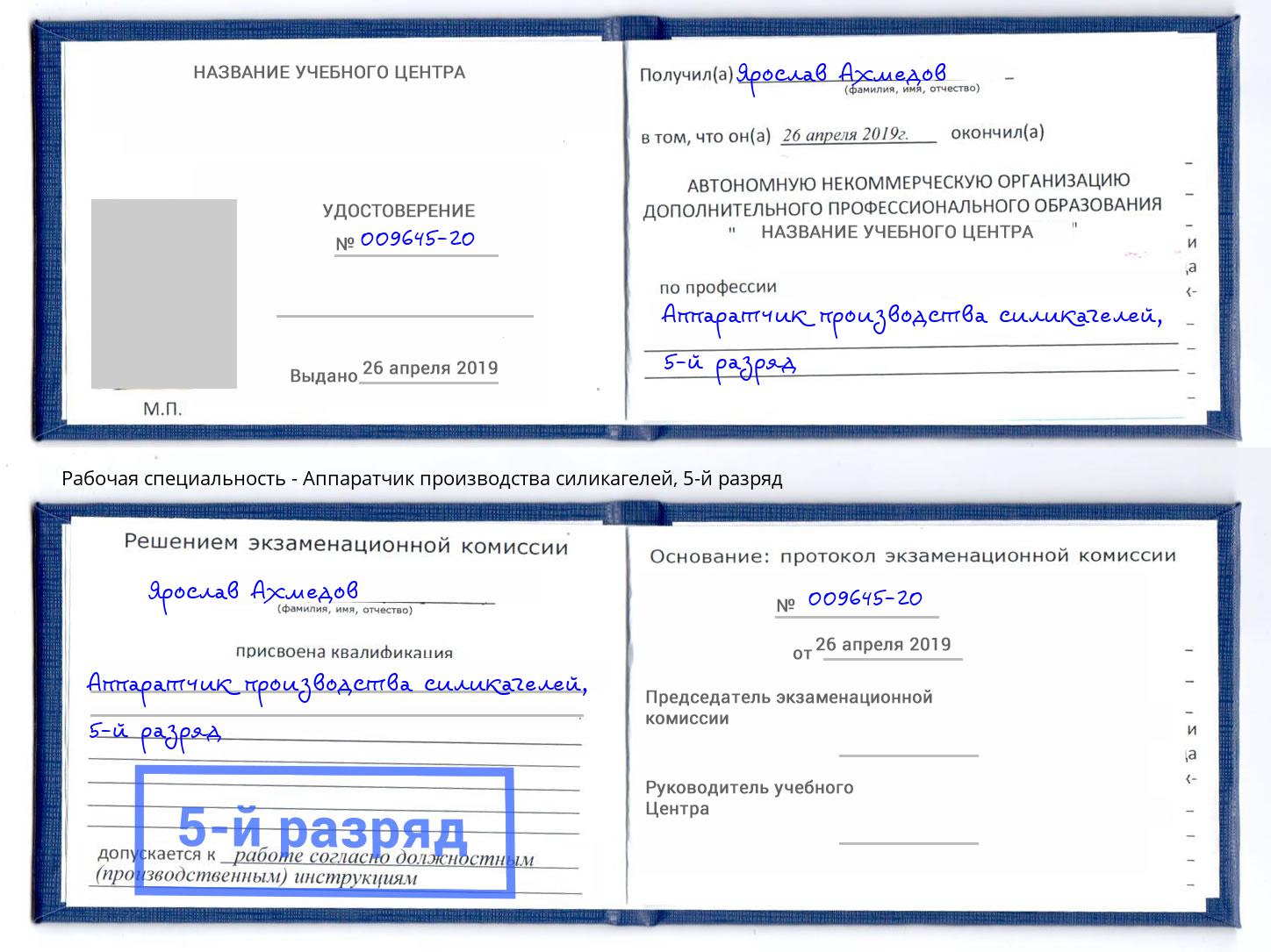 корочка 5-й разряд Аппаратчик производства силикагелей Орехово-Зуево