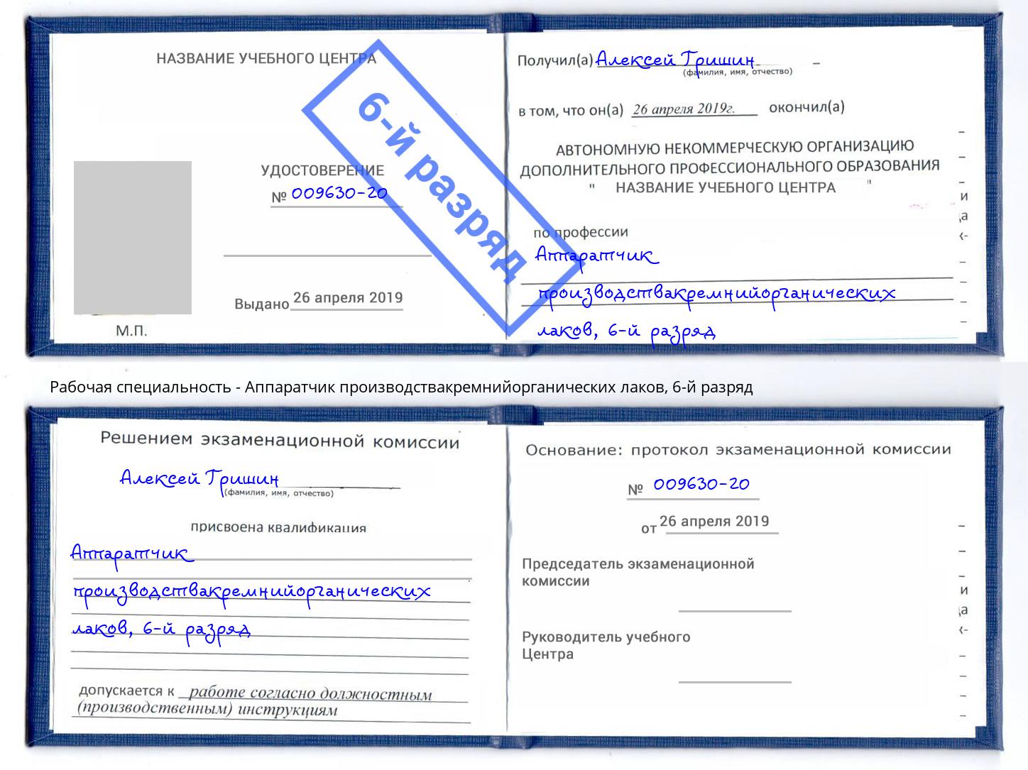 корочка 6-й разряд Аппаратчик производствакремнийорганических лаков Орехово-Зуево